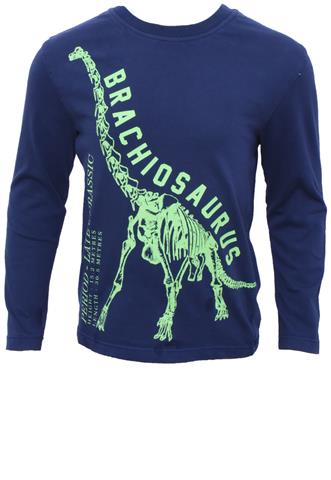 Blusa H&M Dinossauro Azul/Verde