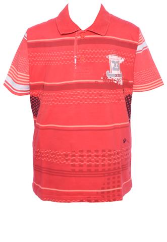 Camisa Polo Malwee Estampada Vermelha